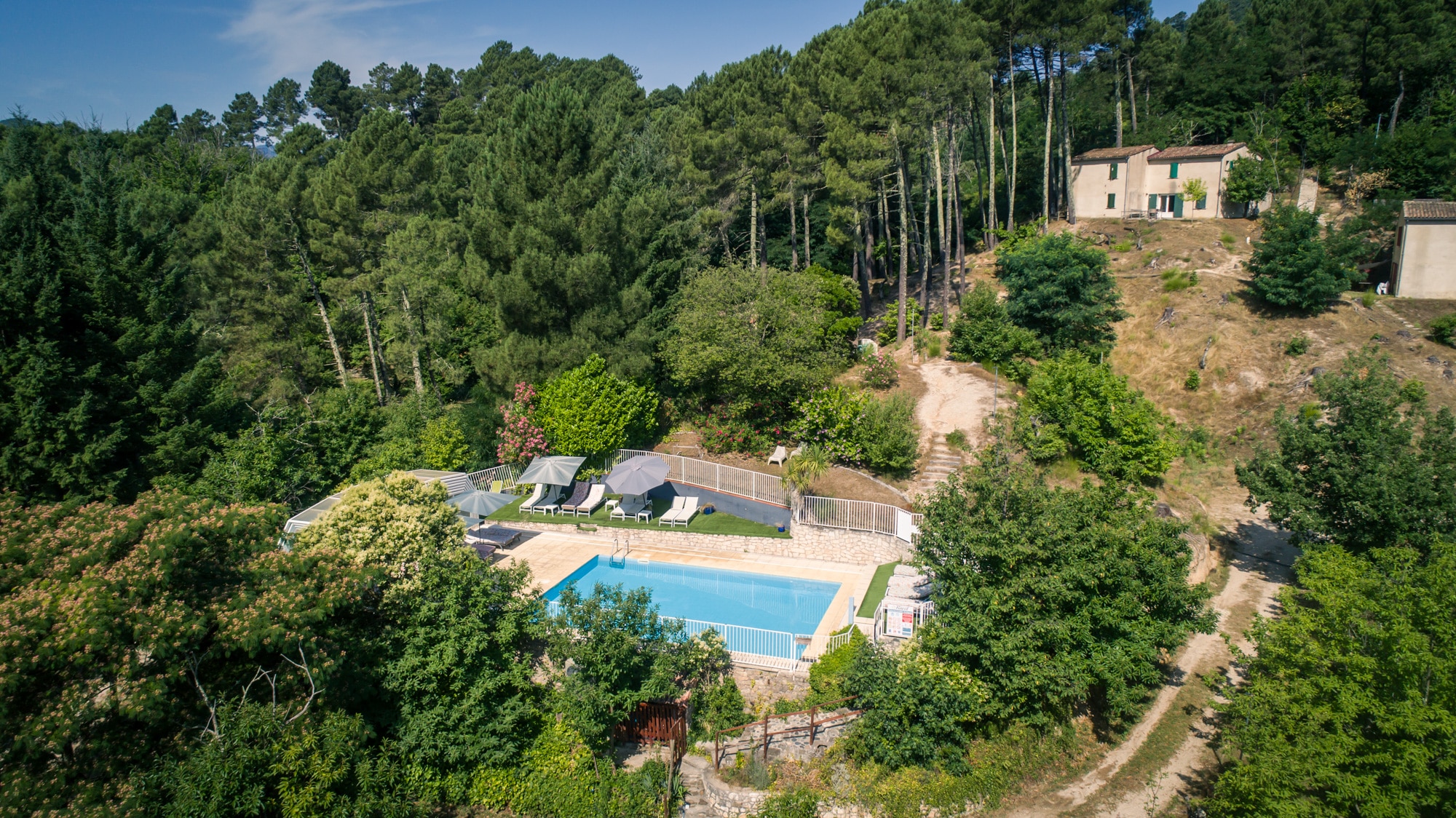Domaine-de-Ravel-juillet 2025-olivier octobre-BD-149