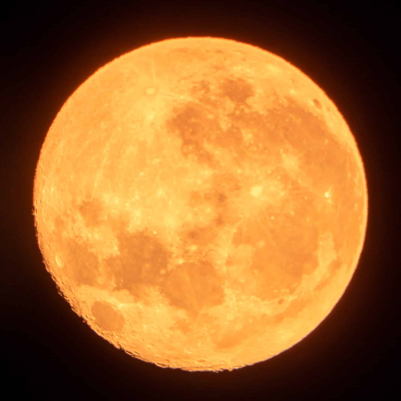 lune Lune